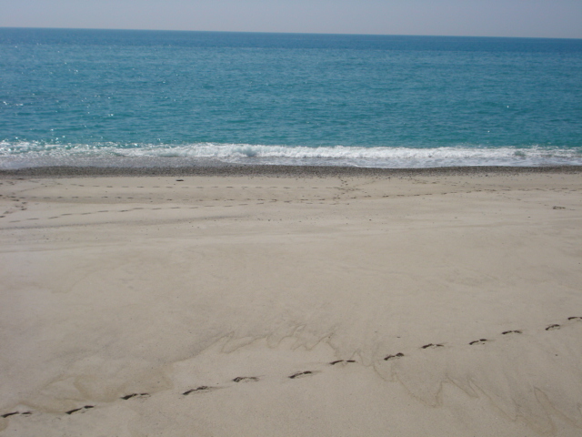 Apartments with pool at 450 meters from sandy beach.