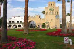 Luxury marina apartments for sale and rent