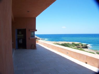 Photo 4 of 