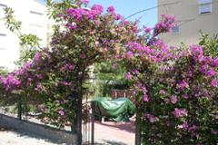 Villa Dalaman area