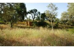 Villa - Farm Odemira