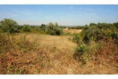 Villa - Farm Odemira