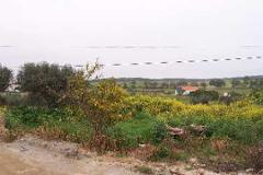 Plot / Land Mértola