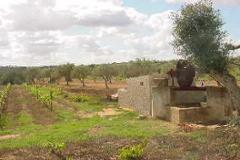 Villa - Farm Cuba