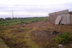 Plot / Land Aljustrel