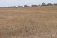 Plot / Land Alvito