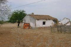 Plot / Land Ferreira do Alentejo