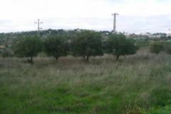 Plot / Land Loulé