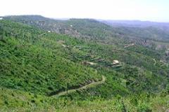 Plot / Land Monchique