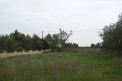 Plot / Land Loulé