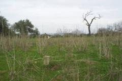 Plot / Land Albufeira