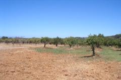 Plot / Land Albufeira