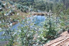 Plot / Land Monchique