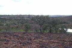 Plot / Land Almodôvar