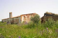 Plot / Land Aljustrel