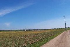 Plot / Land Ferreira do Alentejo