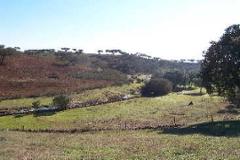Plot / Land Almodôvar