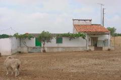 Plot / Land Alvito