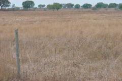 Plot / Land Alvito