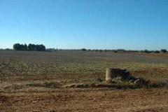 Plot / Land Ferreira do Alentejo