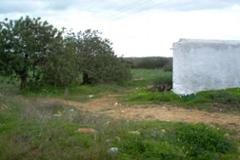 Plot / Land Faro