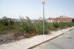 Plot / Land Caldas da Rainha
