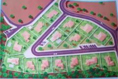 Plot / Land Ferreira do Zêzere