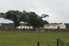 Villa - Farm Horta das Figueiras