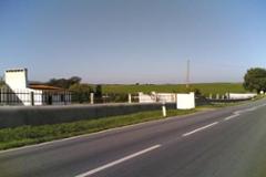 Villa - Farm Horta das Figueiras