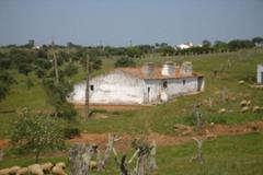 Villa - Farm Alcácer do Sal