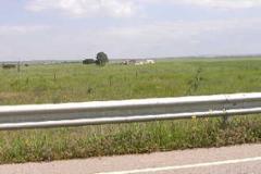 Plot / Land Mourão