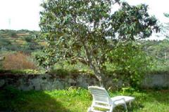 Villa / Townhouse Faro