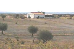 Villa - Farm Mourão