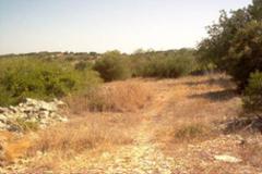 Plot / Land Sao Bras de Alportel