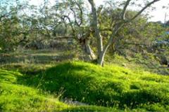 Plot / Land Sao Bras de Alportel