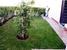  : property For Sale image