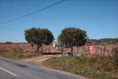 Plot / Land Vidigueira