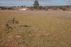 Plot / Land Vila Chã de Ourique