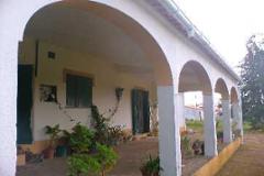 Villa - Farm Alvito