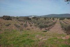 Plot / Land Alvito