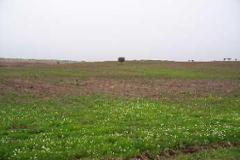 Plot / Land Reguengos de Monsaraz