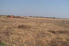 Plot / Land Reguengos de Monsaraz