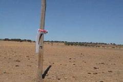 Plot / Land Reguengos de Monsaraz