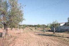 Plot / Land Reguengos de Monsaraz