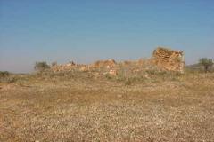 Plot / Land Serpa