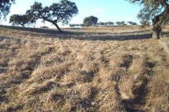 Plot / Land Moura