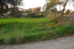 Plot / Land Olhão