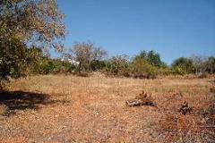 Plot / Land Olhão