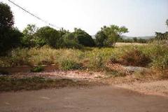 Plot / Land Olhão