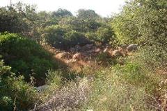 Plot / Land Olhão
